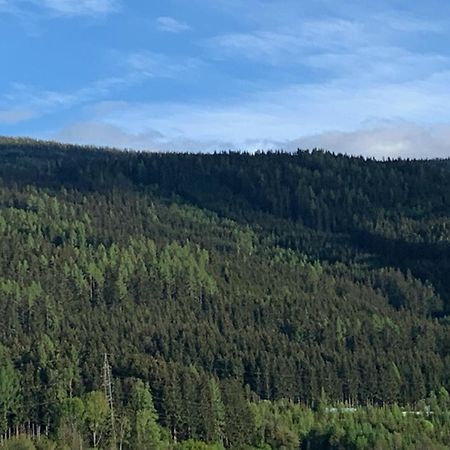 Landgasthof Zur Post Mitterdorf im Mürztal Værelse billede