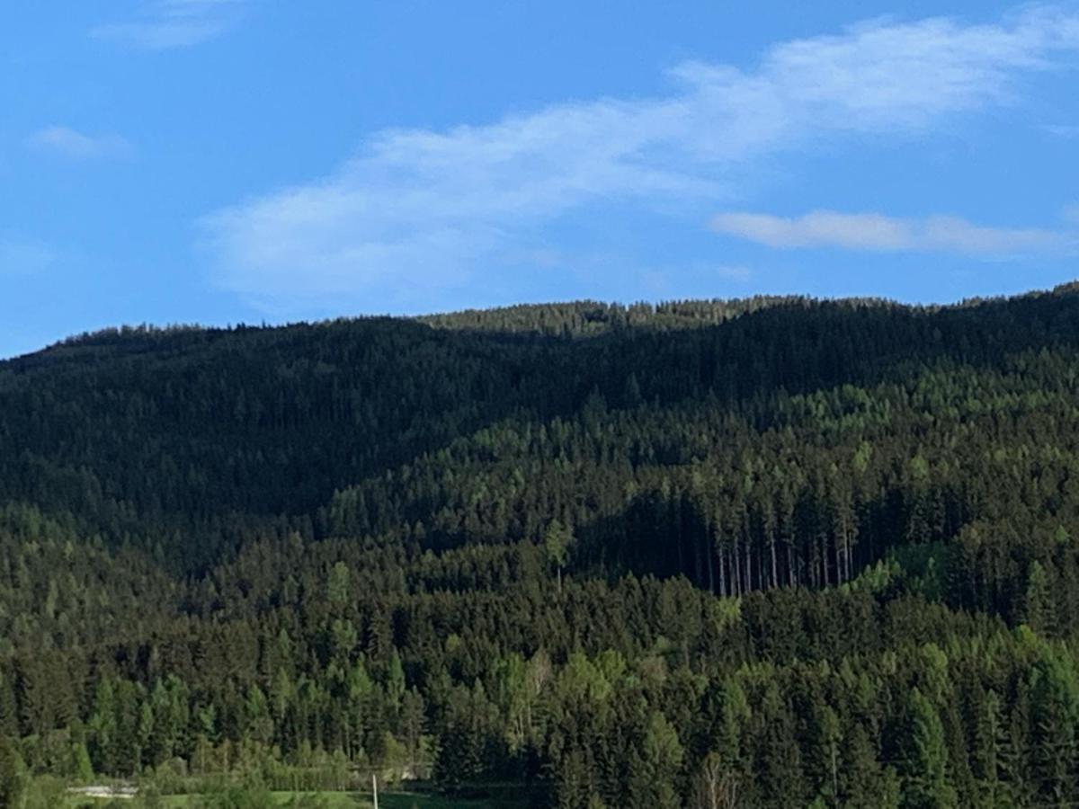 Landgasthof Zur Post Mitterdorf im Mürztal Eksteriør billede