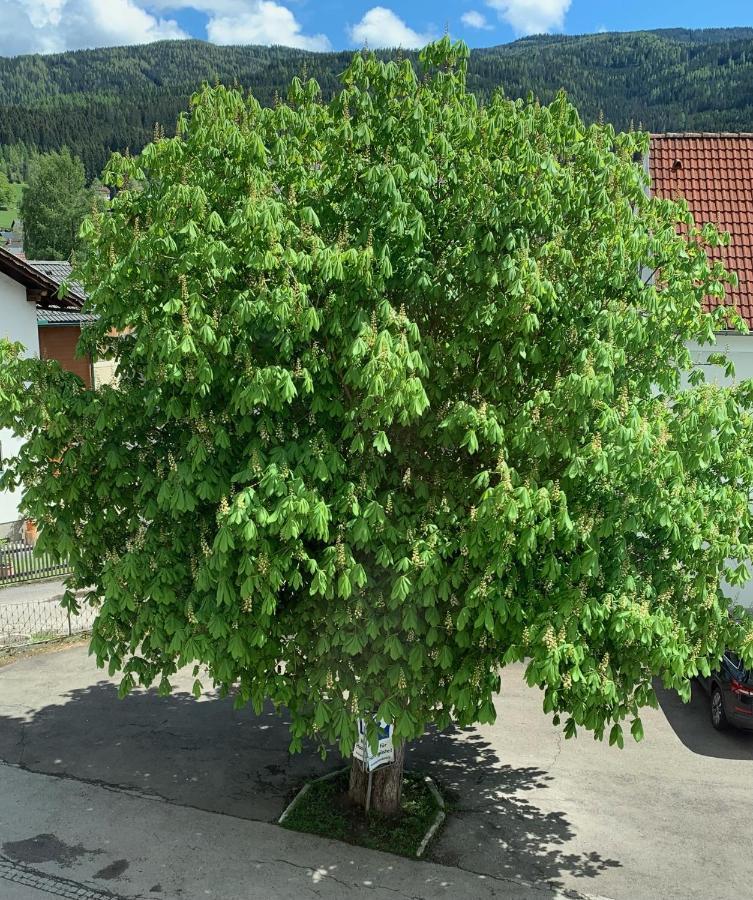Landgasthof Zur Post Mitterdorf im Mürztal Eksteriør billede